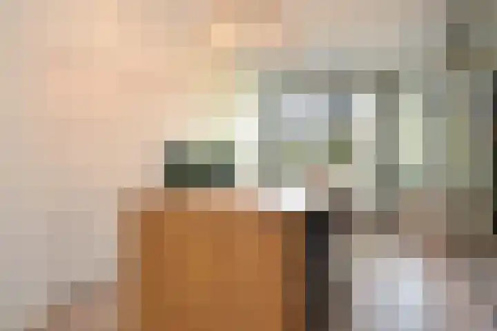 Thomas Mannsingel 44 Den Haag thumbnail 11