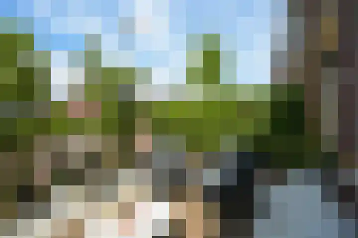 Thomas Mannsingel 44 Den Haag thumbnail 9