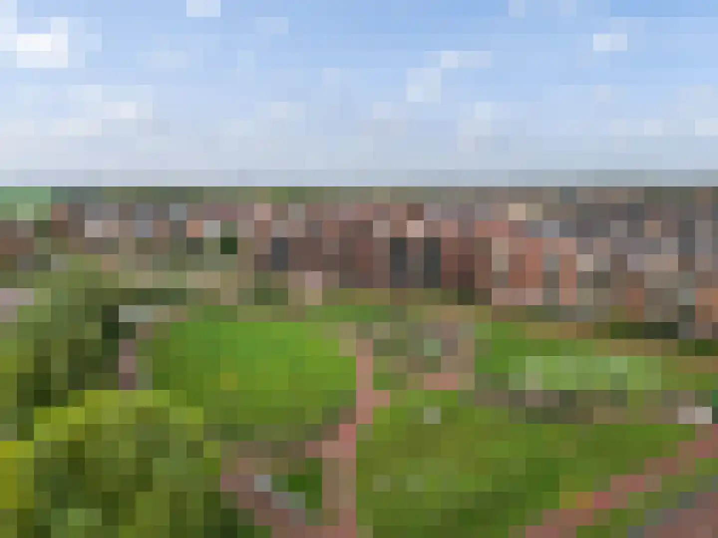 Thomas Morelaan 305 Hoofddorp thumbnail 6