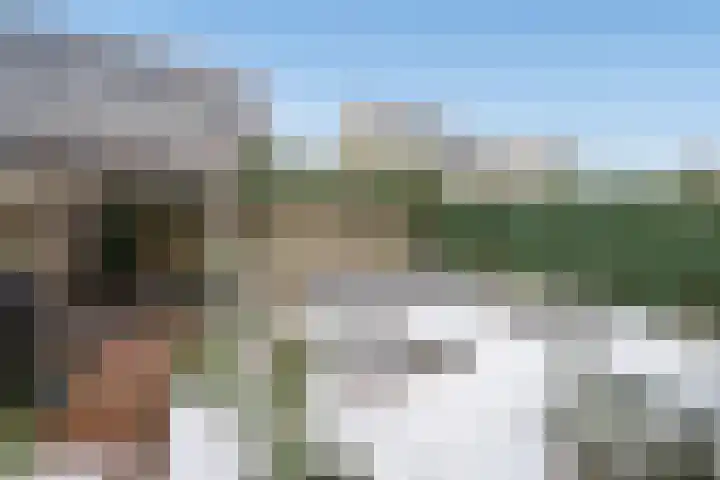Thomas Morelaan 8 Zoetermeer thumbnail 14