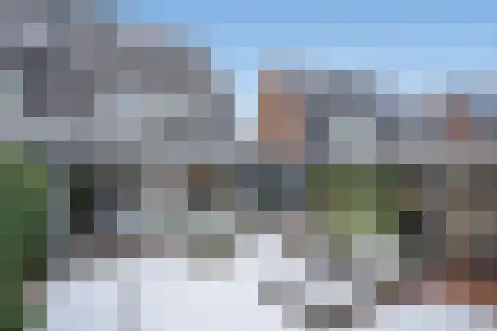 Thomas Morelaan 8 Zoetermeer thumbnail 15