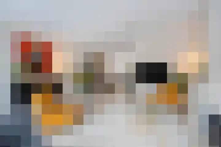 Thomas Morelaan 8 Zoetermeer thumbnail 16
