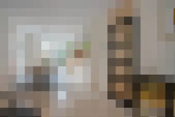Thomas Morelaan 8 Zoetermeer thumbnail 17