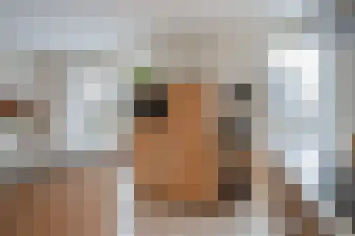 Thomas Morelaan 8 Zoetermeer thumbnail 22