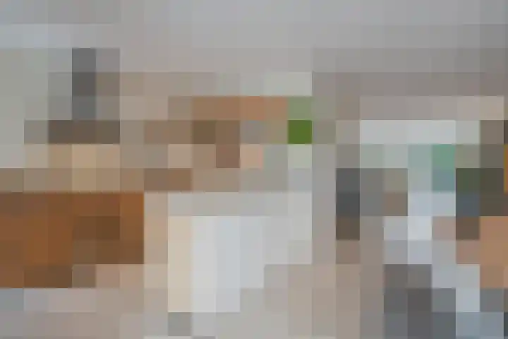 Thomas Morelaan 8 Zoetermeer thumbnail 25