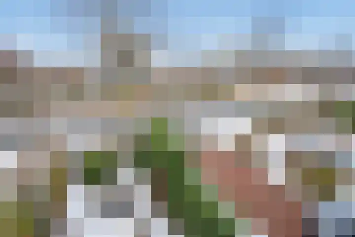 Thomas Morelaan 8 Zoetermeer thumbnail 30