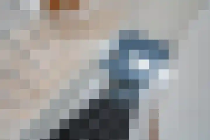 Thomas Morelaan 8 Zoetermeer thumbnail 39