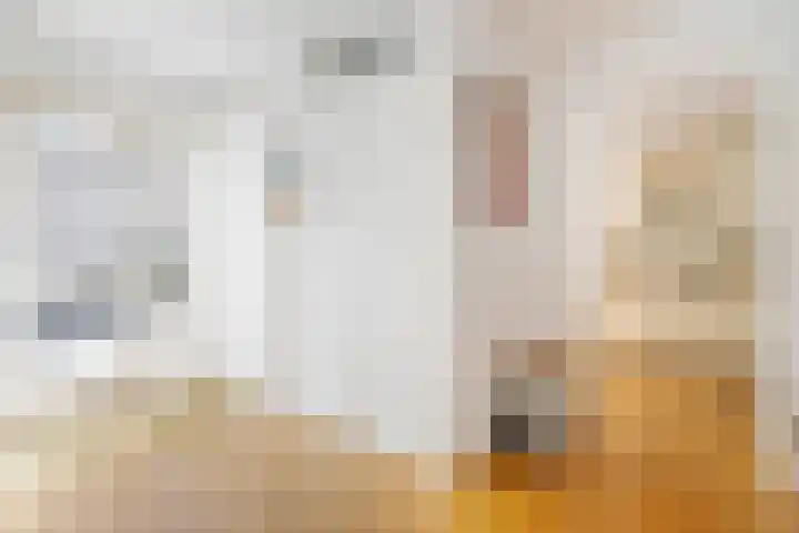 Thomas Moresingel 11 Huizen thumbnail 11