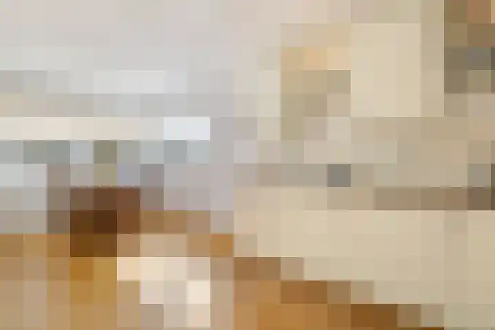 Thomas Moresingel 11 Huizen thumbnail 12