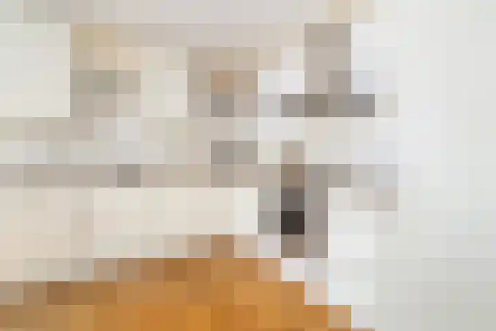 Thomas Moresingel 11 Huizen thumbnail 15