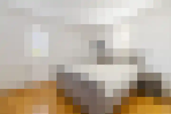 Thomas Moresingel 11 Huizen thumbnail 17
