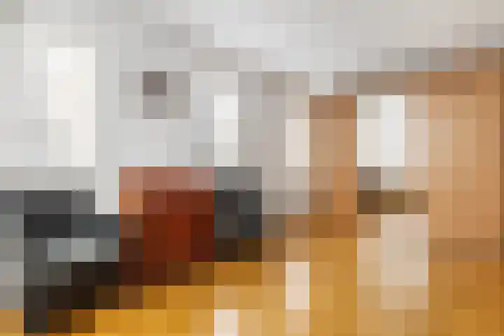 Thomas Moresingel 11 Huizen thumbnail 20