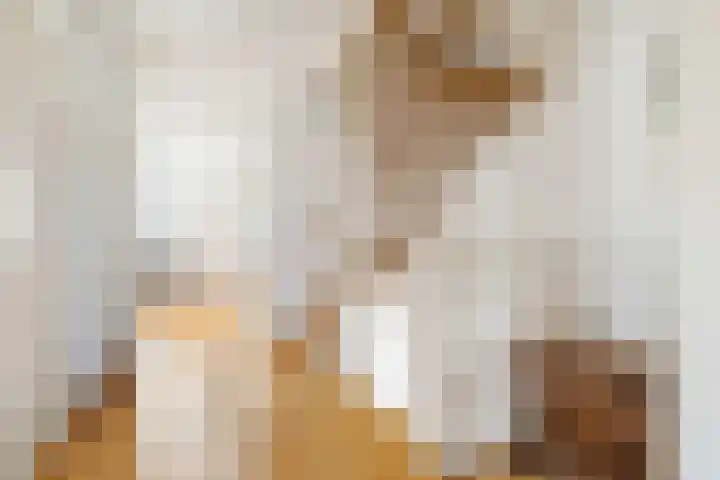 Thomas Moresingel 11 Huizen thumbnail 23