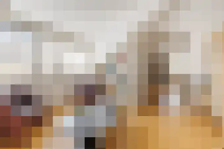 Thomas Moresingel 11 Huizen thumbnail 25