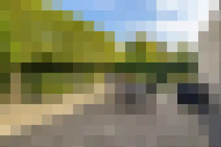 Thomas Moresingel 11 Huizen thumbnail 28