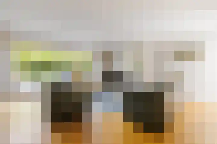 Thomas Moresingel 11 Huizen thumbnail 6
