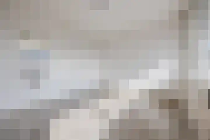 Thomas van Aquinostraat 19 Tilburg thumbnail 11