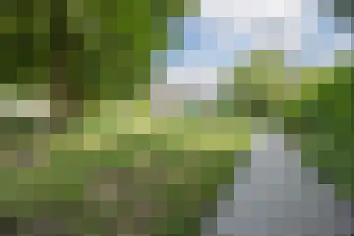 Thomas van Aquinostraat 19 Tilburg thumbnail 20