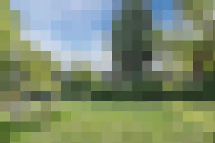 Thomas van Aquinostraat 19 Tilburg thumbnail 22