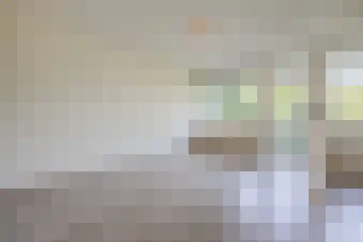 Thomas van Aquinostraat 19 Tilburg thumbnail 4