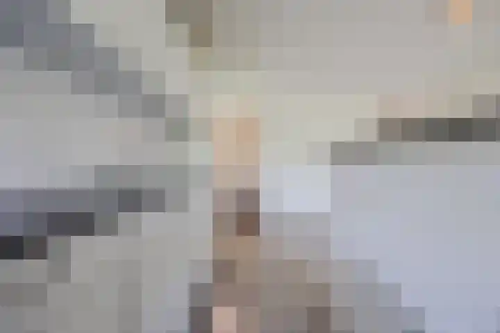 Thomas van Aquinostraat 19 Tilburg thumbnail 6