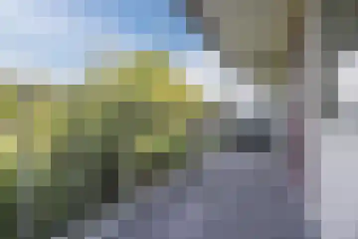 Thomas van Aquinostraat 19 Tilburg thumbnail 7
