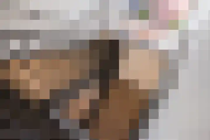 Thomashof 13 203 Workum thumbnail 16