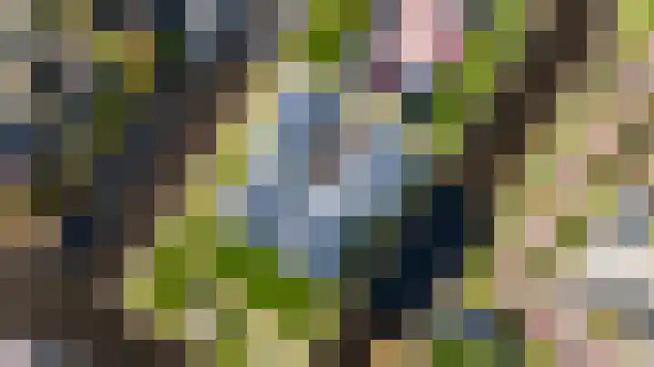 Thomashof 13 203 Workum thumbnail 40