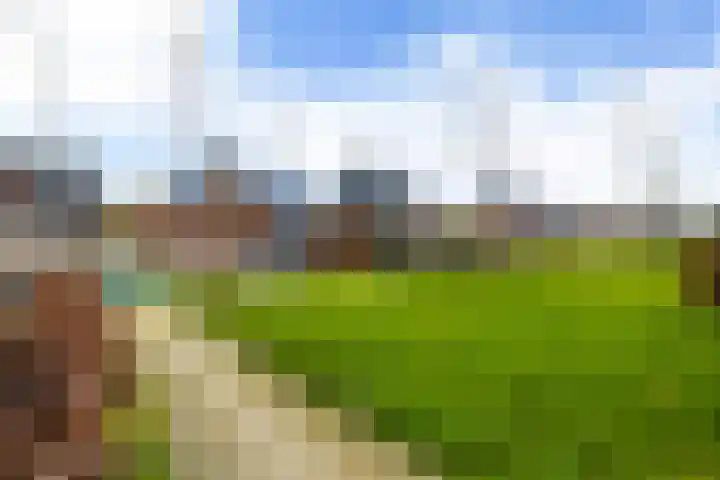 Thomashof 13 203 Workum thumbnail 6