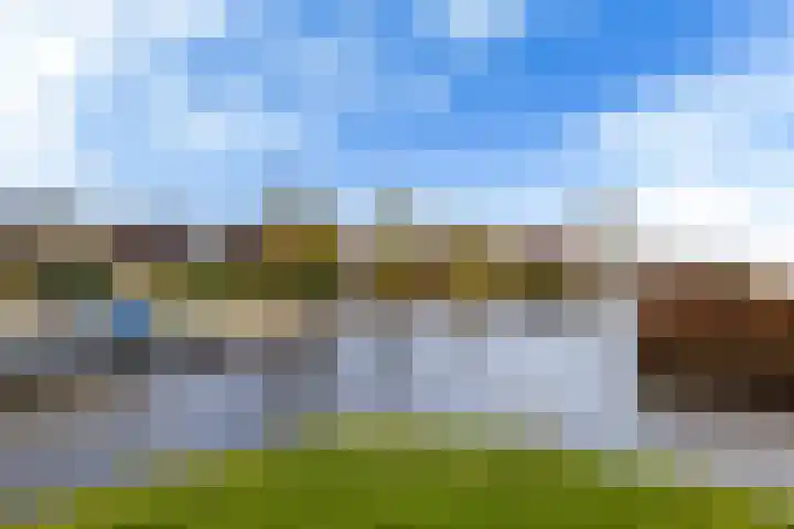 Thomashof 13 203 Workum thumbnail 9