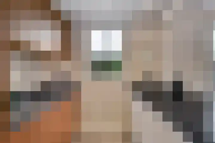 Thomaslaan 50 Eindhoven thumbnail 13