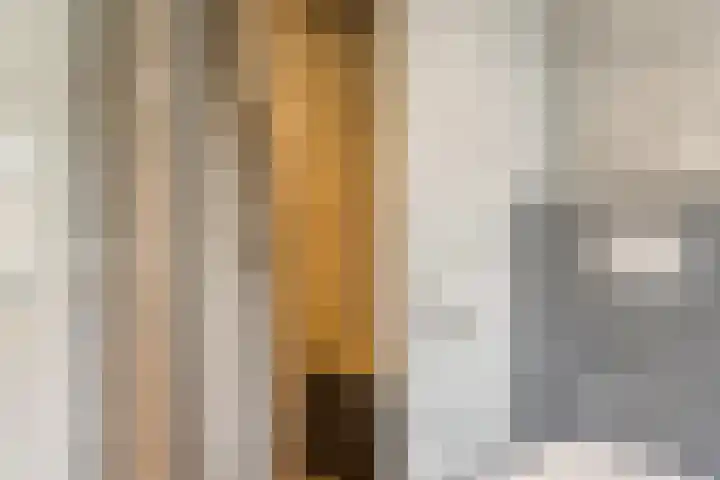 Thomaslaan 50 Eindhoven thumbnail 19