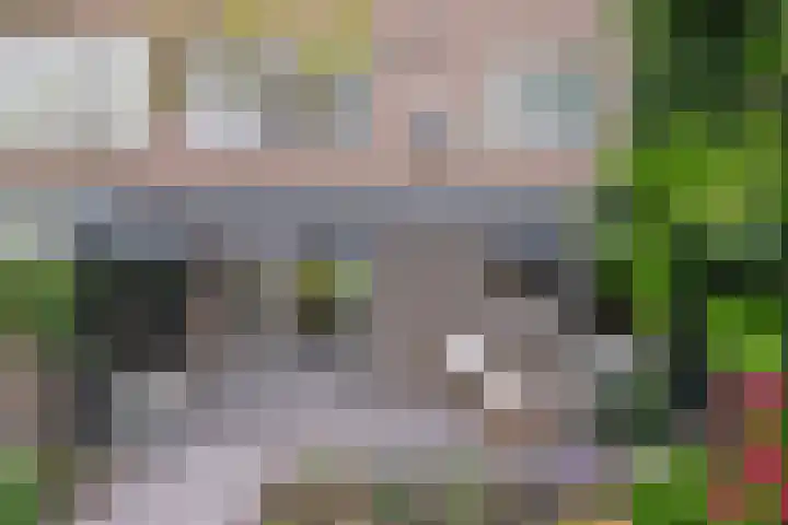 Thomaslaan 50 Eindhoven thumbnail 31
