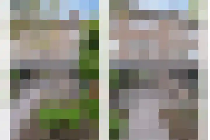 Thomaslaan 50 Eindhoven thumbnail 33