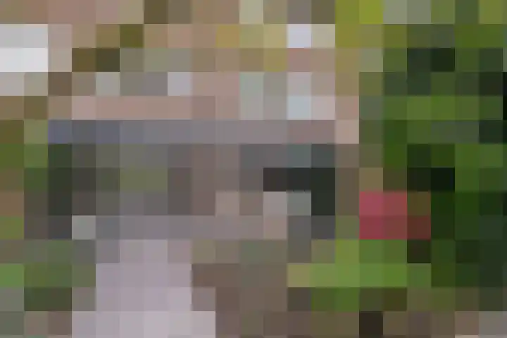 Thomaslaan 50 Eindhoven thumbnail 34