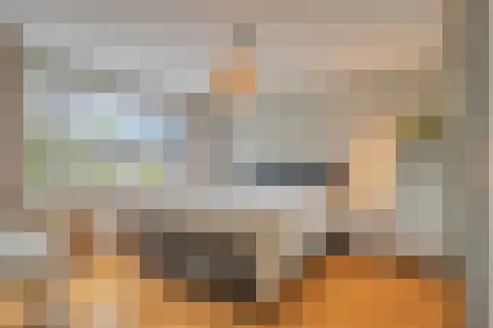 Thomaslaan 50 Eindhoven thumbnail 4