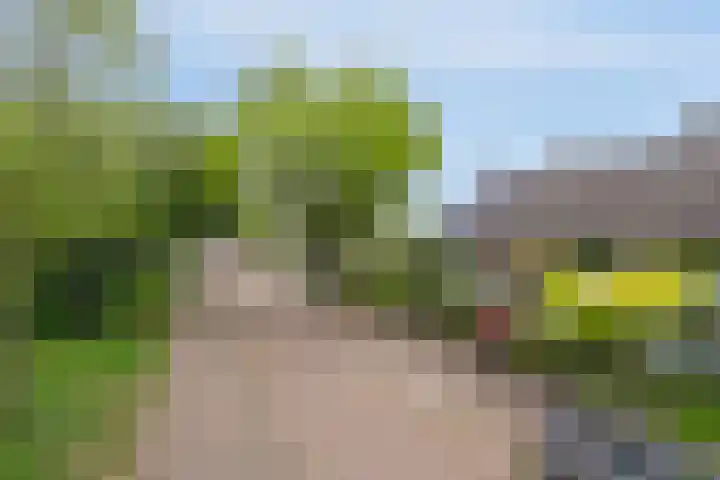Thomaslaan 50 Eindhoven thumbnail 41