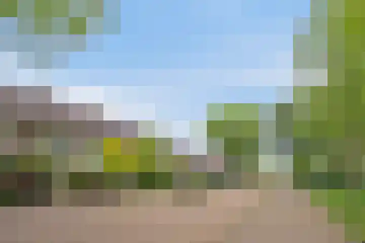 Thomaslaan 50 Eindhoven thumbnail 42