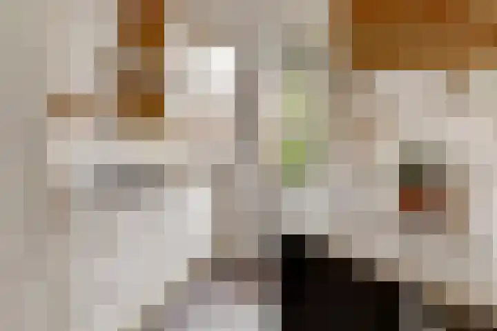 Thomaslaan 6 Eindhoven thumbnail 12