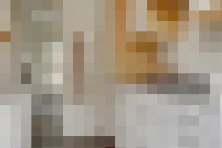 Thomaslaan 6 Eindhoven thumbnail 13