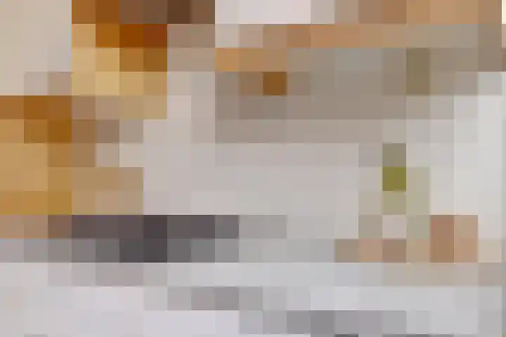 Thomaslaan 6 Eindhoven thumbnail 14
