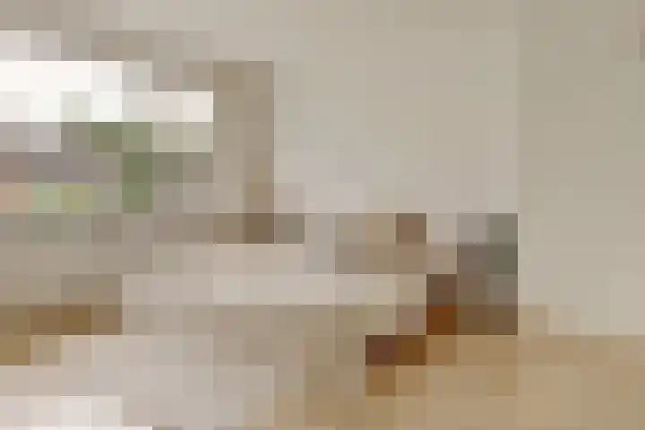 Thomaslaan 6 Eindhoven thumbnail 20