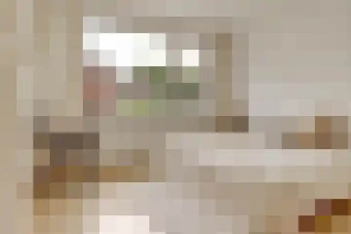 Thomaslaan 6 Eindhoven thumbnail 21