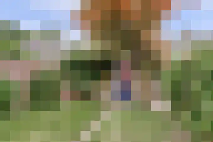 Thomaslaan 6 Eindhoven thumbnail 28