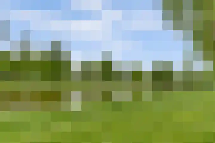 Thomaslaan 6 Eindhoven thumbnail 30