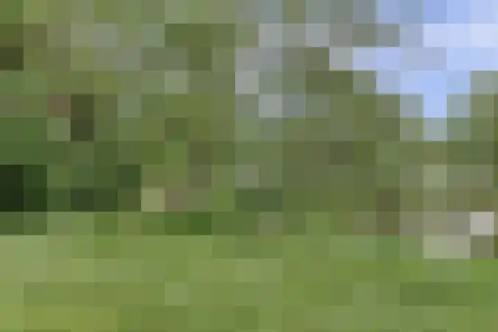 Thomaslaan 6 Eindhoven thumbnail 31