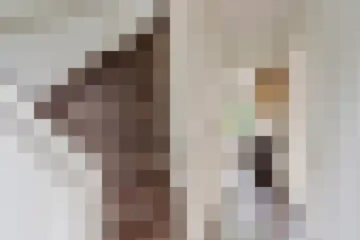 Thomaslaan 6 Eindhoven thumbnail 4