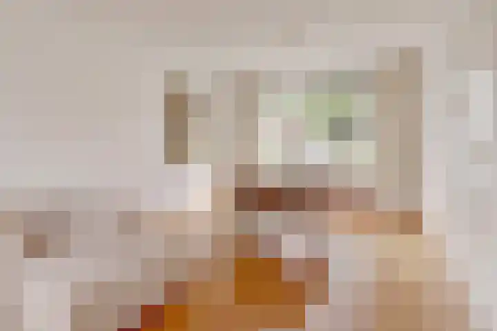 Thomaslaan 6 Eindhoven thumbnail 8