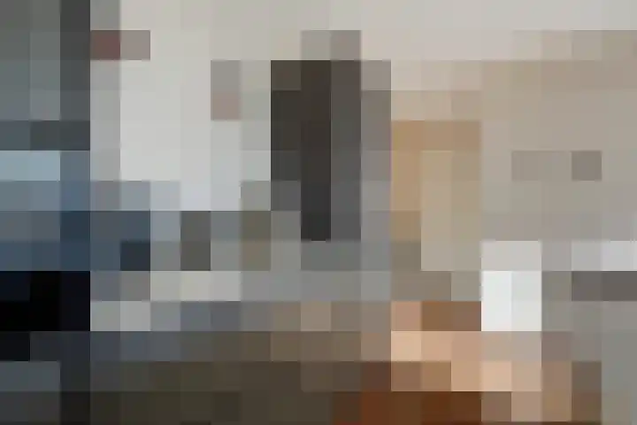 Thomsonlaan 105 B Den Haag thumbnail 18