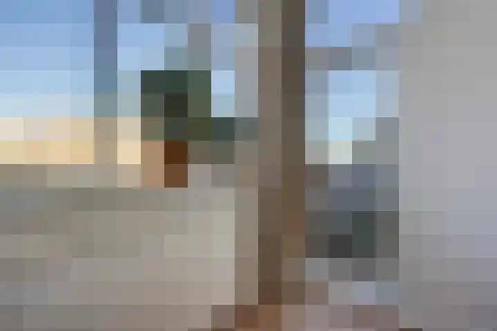 Thomsonlaan 105 B Den Haag thumbnail 22